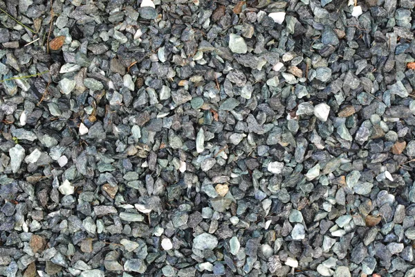 Pebbles Small Stones Garden Decoration — Stock Photo, Image