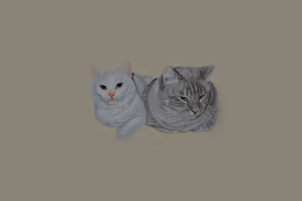 İki kedi yan yana pastel pencils.realistic çizim çizim yalan .