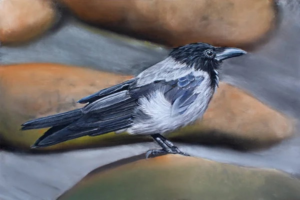 karga pastel pencils.realistic çizim çizim bir taş oturur .
