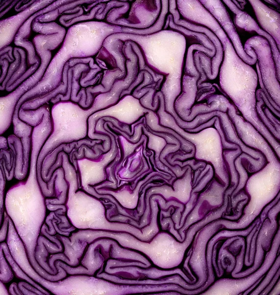 Nahaufnahme Geschnitten Der Hälfte Rotkohl Textur — Stockfoto