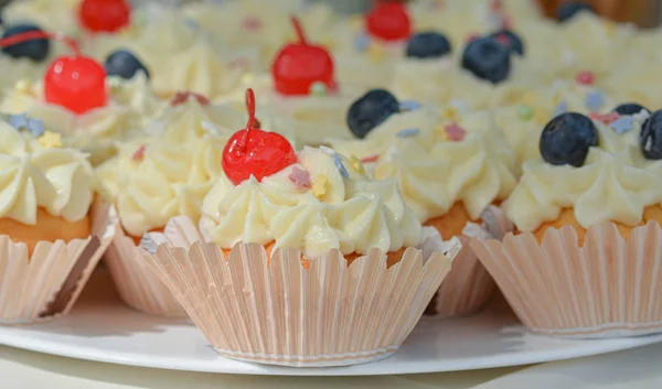 Kiraz ve taze yaban mersini ile dekore krem peynir frosting ile ev yapımı Cupcakes-muffins. Seçici odaklama
