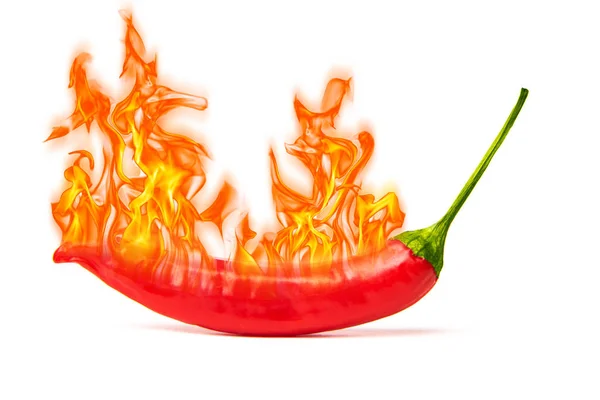红色辣椒与火在白色背景 关闭墨西哥蔬菜有机辛辣食品 — 图库照片