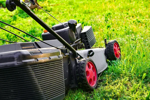 Garden care, lawnmower, trimming green grass. Mowing green grass