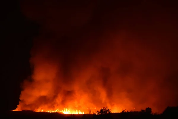 Gece orman yangını, yüksek izo görüntüsü. Ormanda duman ve yangın