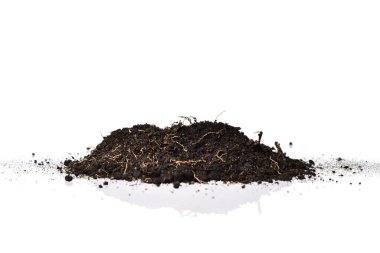 Tarım, toprak, bitki, organik tarım.