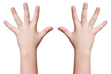 Beyaz arkaplanda izole edilmiş bir el gösteriliyor