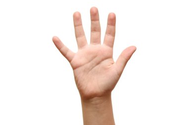 Çocukların beş parmağı beyaz arka planda kapalı..
