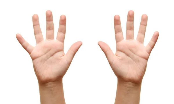 Çocuklar ellerini açıp beyaz arkaplanı kapatıyorlar..