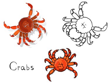 Beyaz bir arka plan üzerinde deniz ürünleri kümesi. Elle çizilmiş. Yengeç renk 