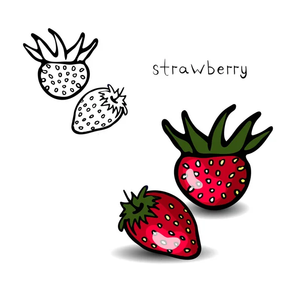 イチゴ、イチゴの輪郭と色のイメージ. — ストックベクタ