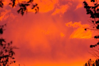 Contour pembe bir günbatımı arka planında ayrılıyor.