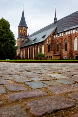 Kalininingrad 'daki Katedral ya da Meryem Ana ve Aziz Adalber Katedrali.