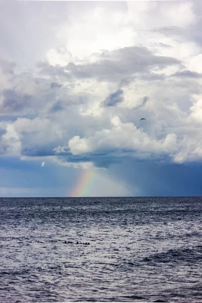 ロシア カリーニングラード地域 バルト海での嵐の後の虹と雷 雷雲と海 — ストック写真