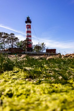 St. Petersburg, Kronshtat. Baharda Finlandiya Körfezi 'nde. Adadaki deniz feneri.