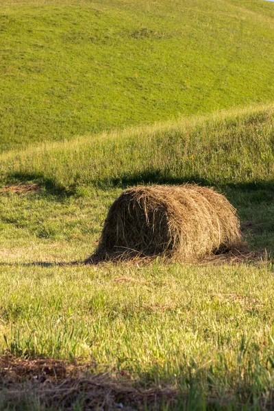 Heustapel Für Kühe Und Pferde Vor Blauem Himmel Trockenes Gras — Stockfoto