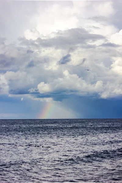 ロシア カリーニングラード地域 バルト海での嵐の後の虹と雷 雷雲と海 — ストック写真