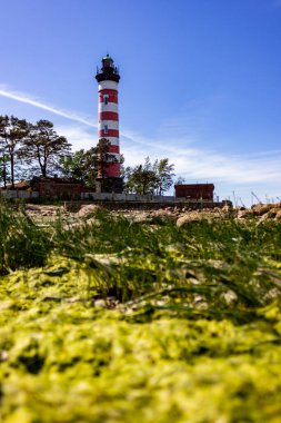St. Petersburg, Kronshtat. Baharda Finlandiya Körfezi 'nde. Adadaki deniz feneri.