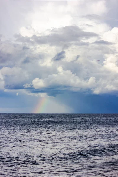 ロシア カリーニングラード地域 バルト海での嵐の後の虹と雷 雷雲と海 — ストック写真