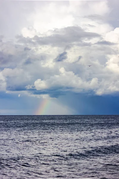 ロシア カリーニングラード地域 バルト海での嵐の後の虹と雷 雷雲と海 — ストック写真