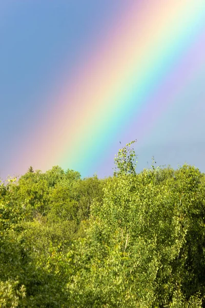 Rainbow over the summer mixed forest, cloudy sky and clear rainbow colors, forest road. Natural landscape. Rainbow colors after rain. Rain clouds.