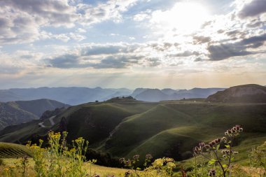 Gün batımında beyaz dağların çiçeklerle manzarası.
