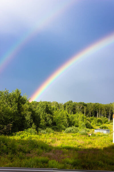 Rainbow over the summer mixed forest, cloudy sky and clear rainbow colors, forest road. Natural landscape. Rainbow colors after rain. Rain clouds.