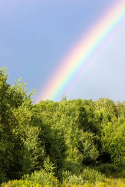 Yazın gökkuşağı, karışık orman, bulutlu gökyüzü ve açık gökkuşağı renkleri, orman yolu. Doğa manzarası. Yağmurdan sonra gökkuşağı renkleri. Yağmur bulutları.
