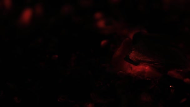 Hot coals in darkness. Ember, background. — Stock Video