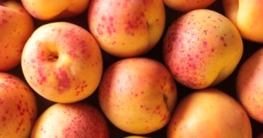 Döndürme, kayısı üstten görünüm