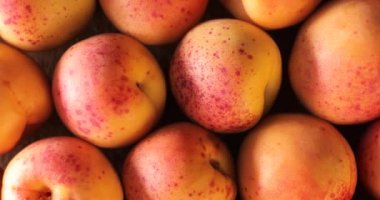 Bir sürü taze kayısı üstten görünüm dönerek,