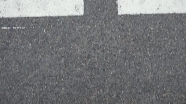 雄腿横过马路上斑马 — 图库视频影像