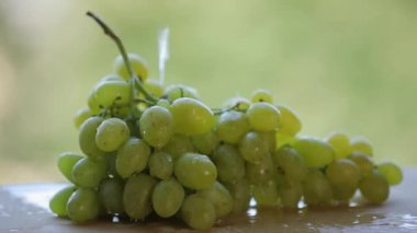 Slowmotion 5 x daha yavaş bir taze yeşil üzüm üzerine su dökerek
