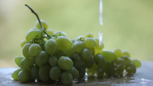 Gieten van water op een groene druiven in slowmotion langzamer op 5 x — Stockvideo