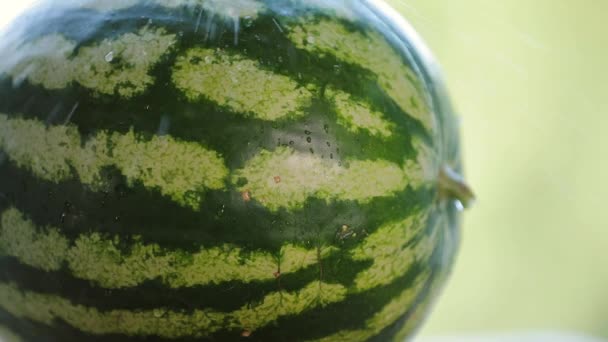 Verser de l'eau sur une pastèque fraîche mûre au ralenti à 5x — Video