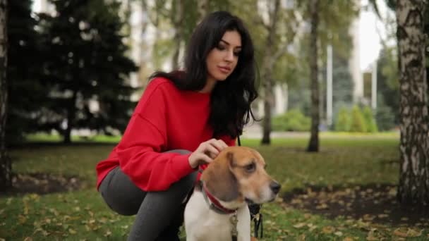 Женщина в парке со своей собакой, дружба человека и животного — стоковое видео