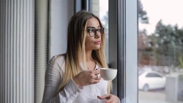 Ładna Kobieta Picia Kawy Kawiarni Patrząc Przez Okno — Wideo stockowe