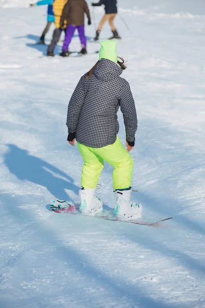 Спорт Зимний Период Катание Лыжах Вид Сзади — стоковое фото