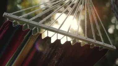 Bir sunflare hamakta