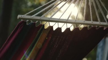 Bir sunflare hamakta, kadın otur içinde