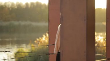 Nehir iskelede güneşli sabah saat istirahat kadın