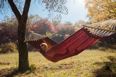 Küçük çocuk altın sonbahar günü Hamakta yatan dinlenme