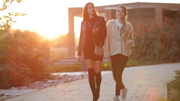 Mujeres amigas caminando en la playa del río y hablando, puesta de sol — Vídeos de Stock