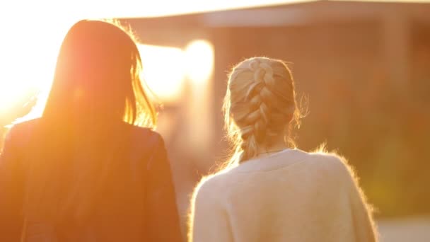Πίσω προβολή δύο γυναίκες φίλους πάει μακριά στο ηλιοβασίλεμα — Αρχείο Βίντεο