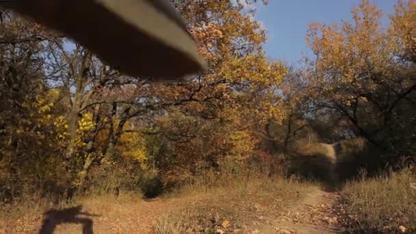 Uomo in giacca gialla scappare nella foresta autunnale, vista posteriore — Video Stock