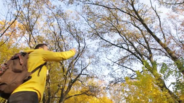 Человек в желтом осеннем лесу с мобильным телефоном — стоковое видео
