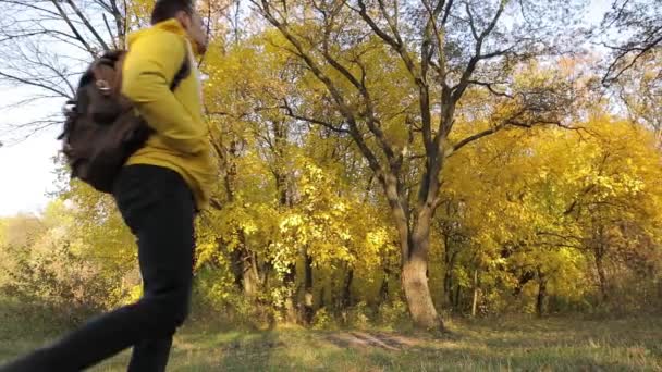 黄色夹克男子在秋季森林徒步旅行 — 图库视频影像