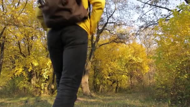 Hombre de chaqueta amarilla senderismo en el bosque de otoño — Vídeos de Stock