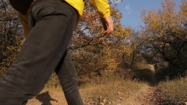 Caminhadas homem em casaco amarelo andando na floresta de outono — Vídeo de Stock