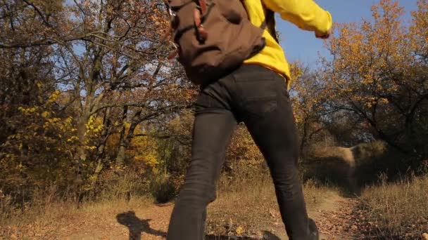 Caminhadas homem em casaco amarelo andando na floresta de outono — Vídeo de Stock