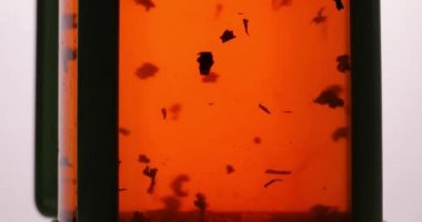 Siyah çay demleme, yaprakları bir cam kap içinde dönen